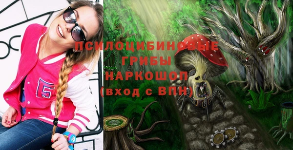 первитин Белоозёрский