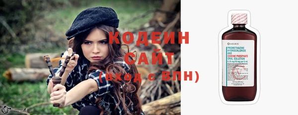 хмурый Струнино
