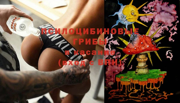 МДПВ Белокуриха