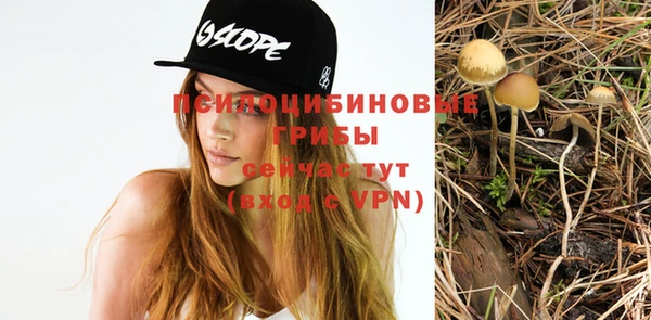ПСИЛОЦИБИНОВЫЕ ГРИБЫ Беломорск